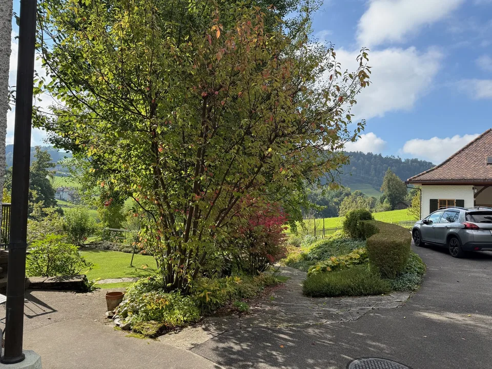 Stilvoll wohnen im eleganten Altbau mit Gartenidylle
