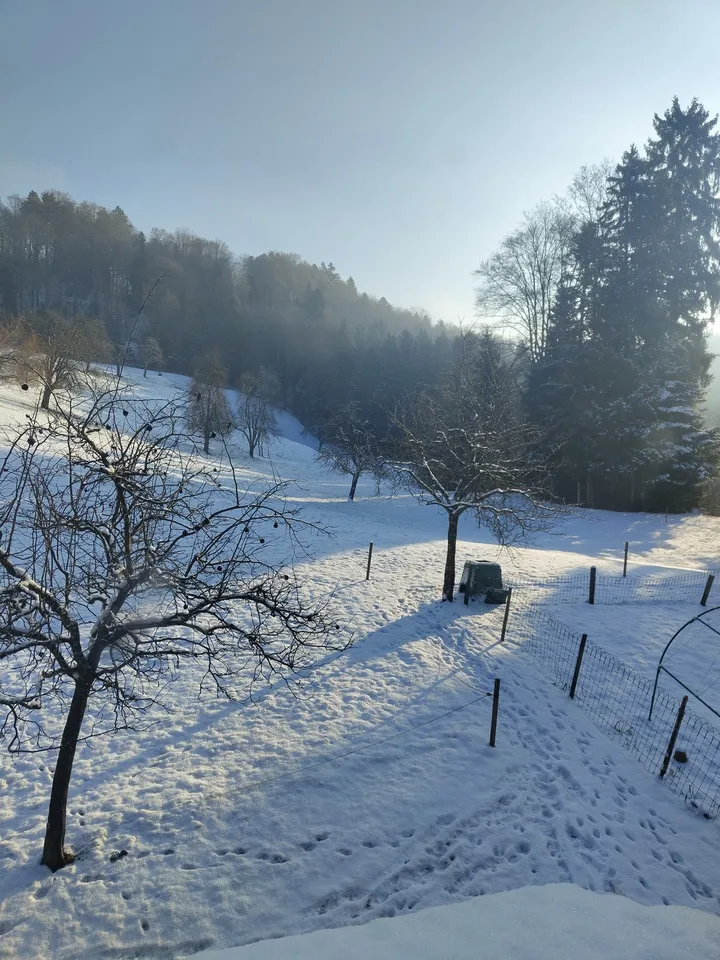 WG-Zimmer in ruhiger Lage