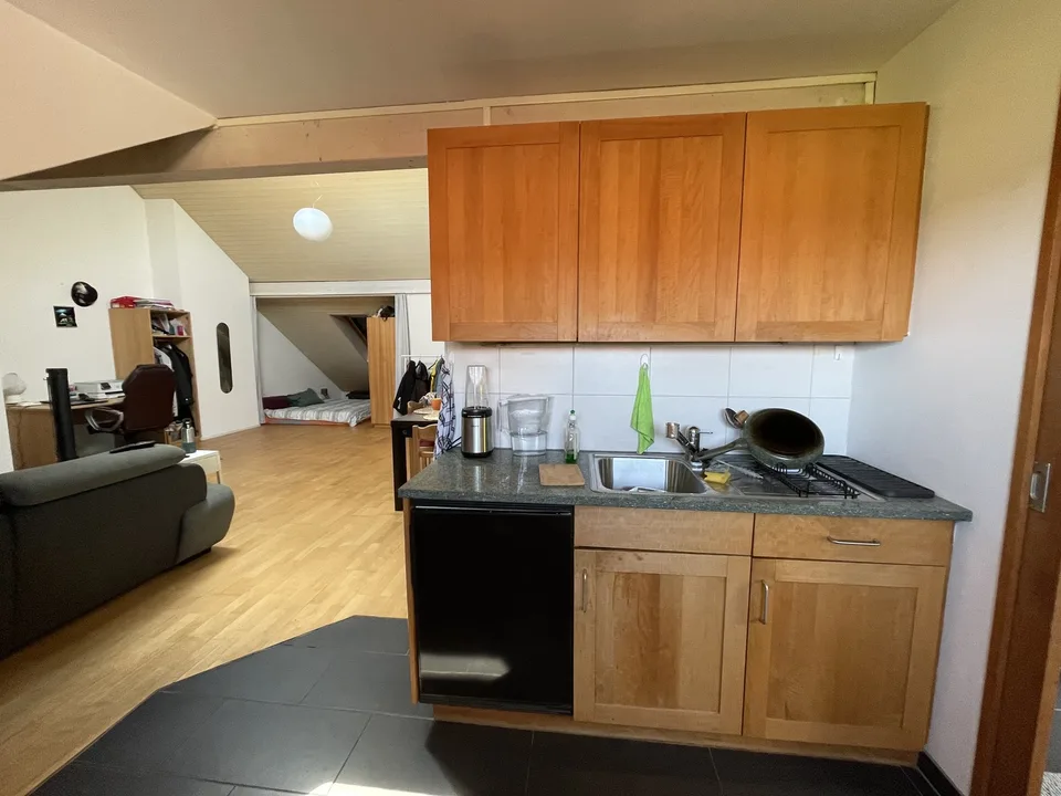 Wunderschöne 2,5-Zimmer-Wohnung in der Nähe von Luzern