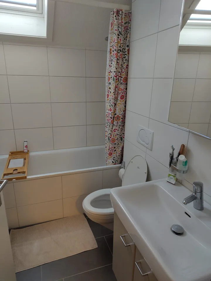 Attic apartment in Baar, temporary