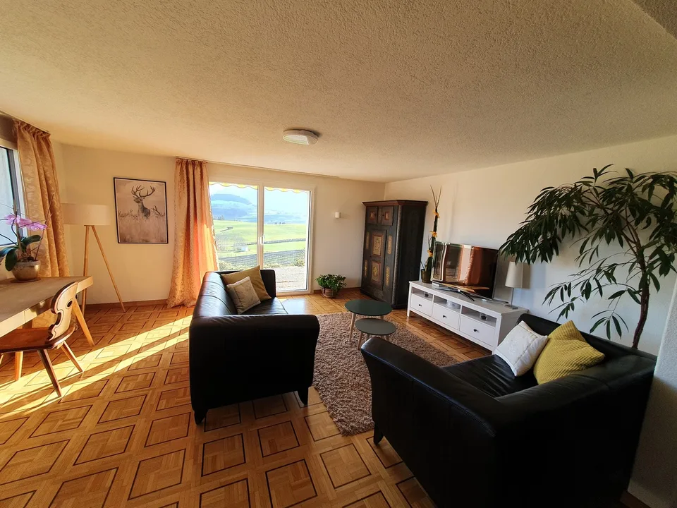 Exklusives 2.5-Zimmer Business-Apartment