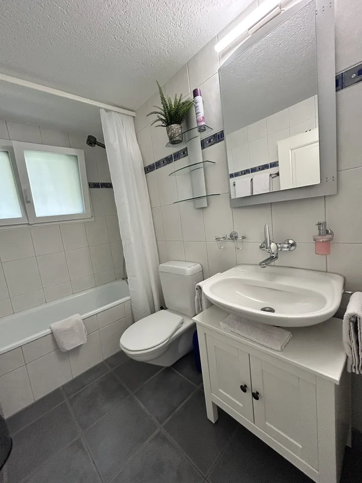 Exklusives 2.5-Zimmer Business-Apartment