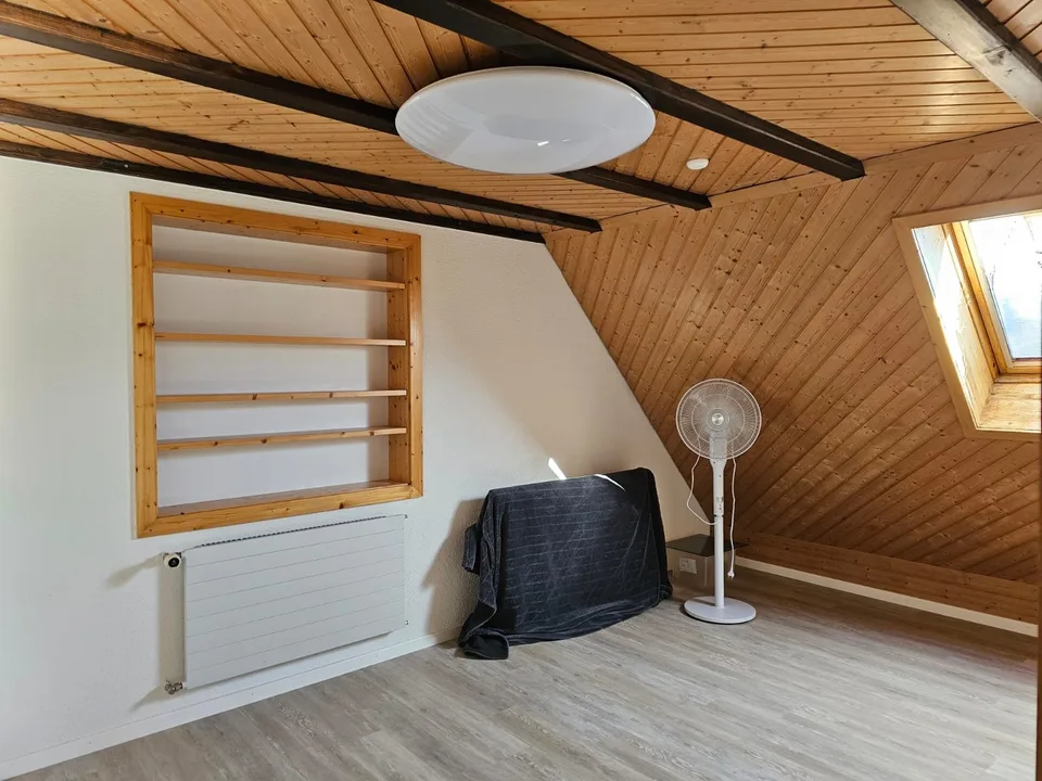 Mitbewohner:in gesucht, in grossem Haus mit Garten