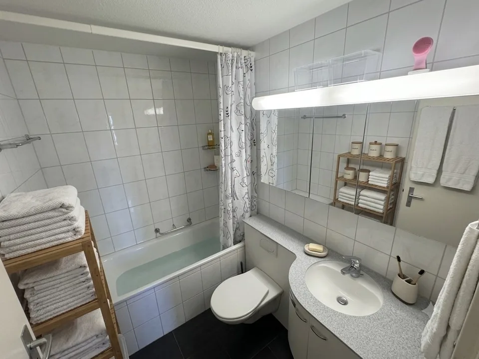 Grosses WG Zimmer im Wesemlinquartier