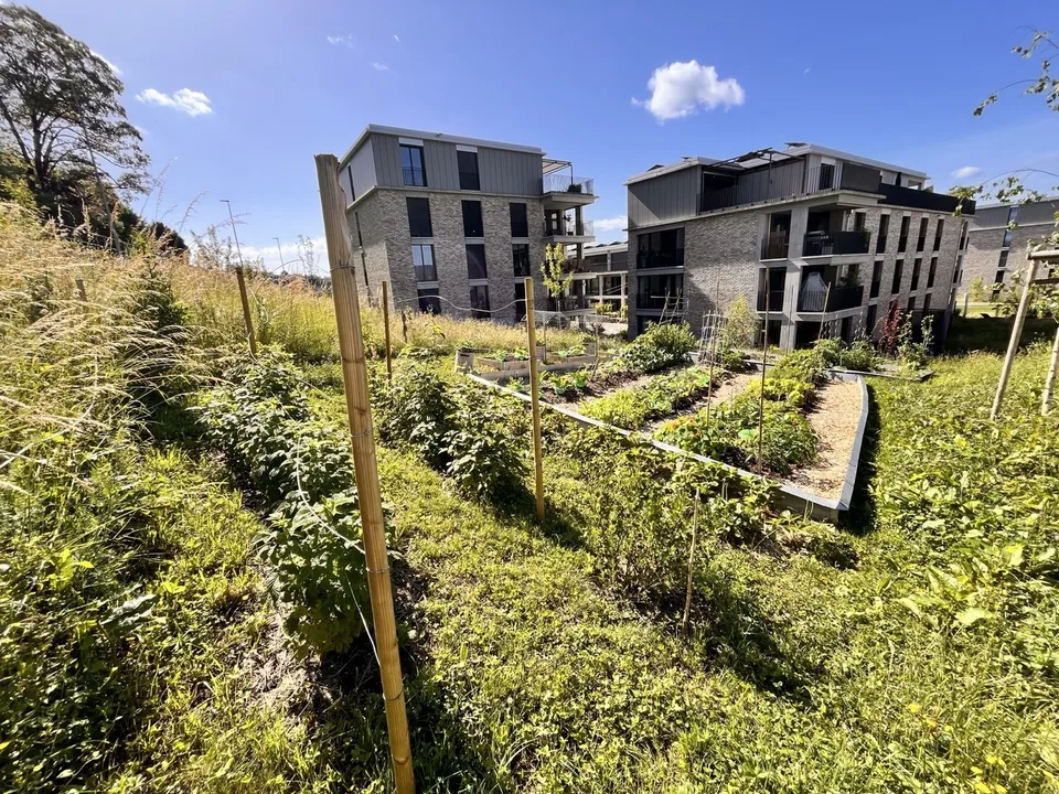 WG-Zimmer mit privatem Bad in grosszügiger Cluster-Wohnung mit Garten