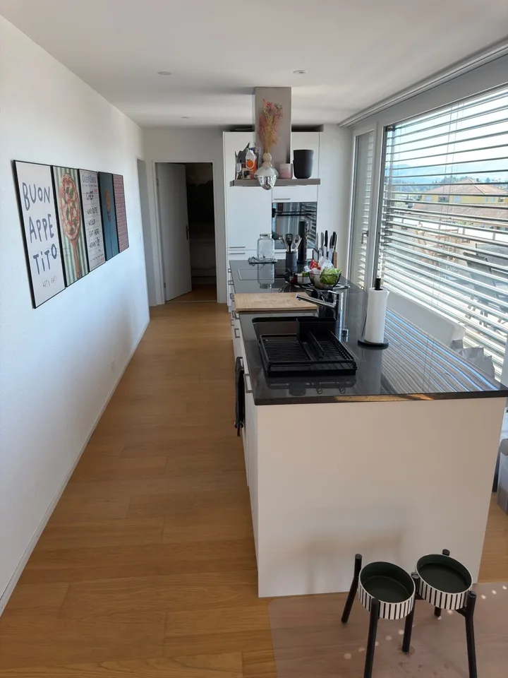 Nachmieter für wunderschöne 3.5 Zimmer-Attikawohnung gesucht