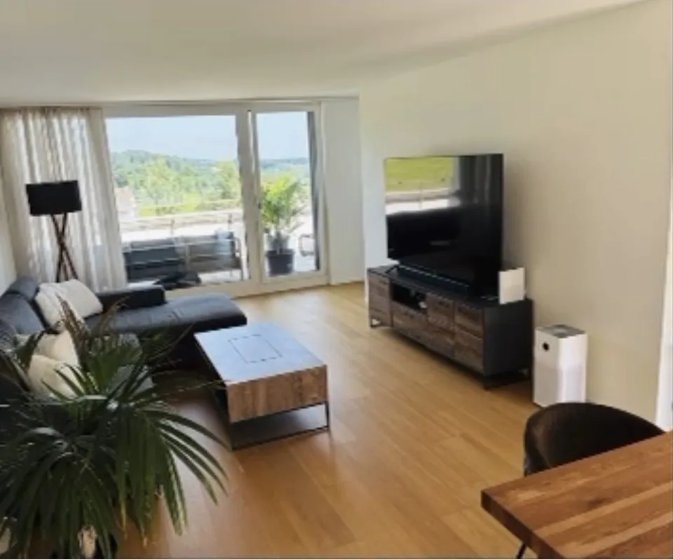 Nachmieter für wunderschöne 3.5 Zimmer-Attikawohnung gesucht
