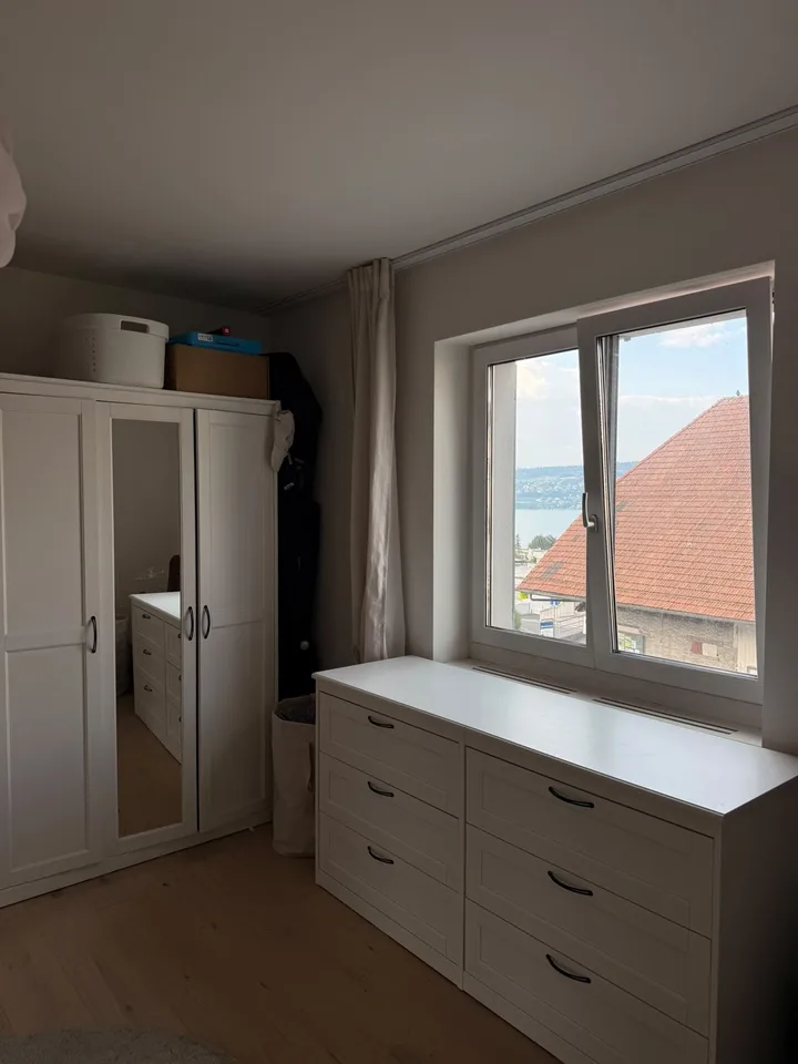 Bright 4.5-Room Apartment with Lake Views in Horgen – Available Immediately or from 1 August