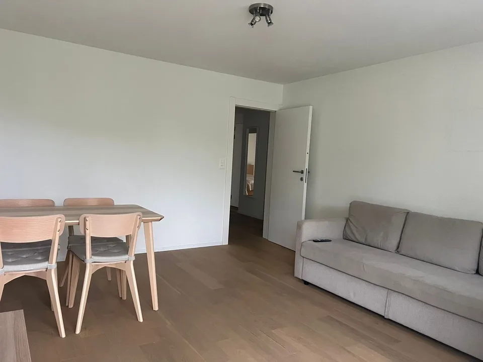 Tenant wanted – Beautiful 4-room apartment in Horgen