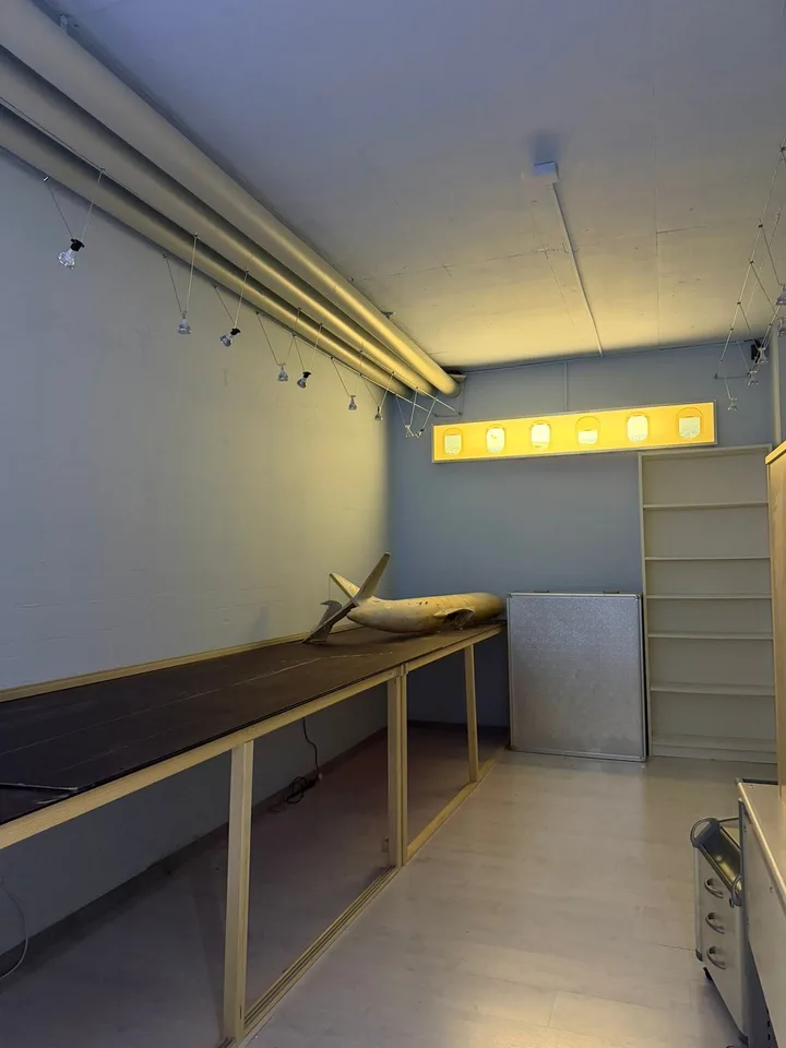Gepflegter Hobby-/Lagerraum (36 m²) – Zentral in Hombrechtikon