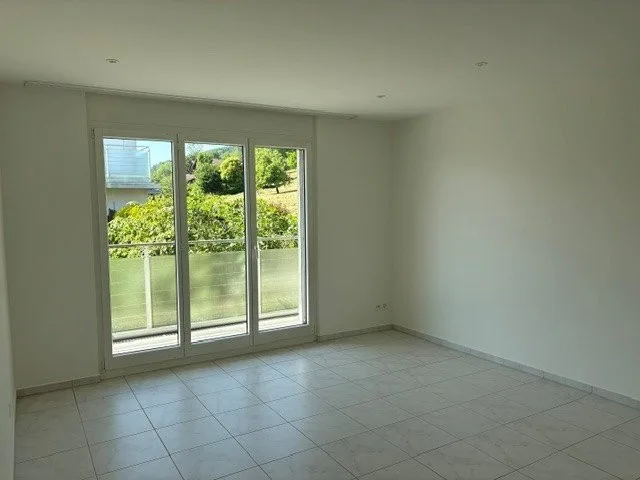 Grosszügige Terrassenwohnung in Männedorf
