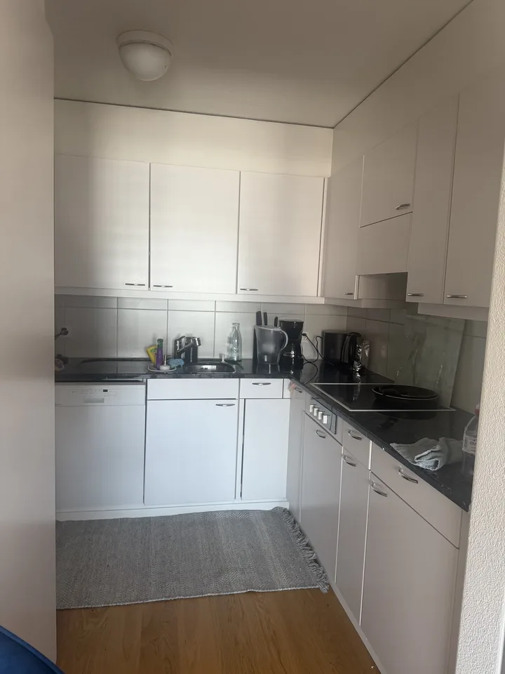 Apartment for 1 month (24.07-23.08.26)