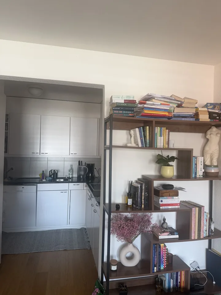 Apartment for 1 month (24.07-23.08.26)