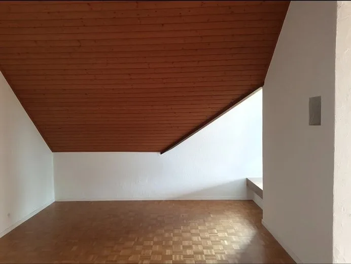 2.0 Zimmer- Dachwohnung im Hirzel