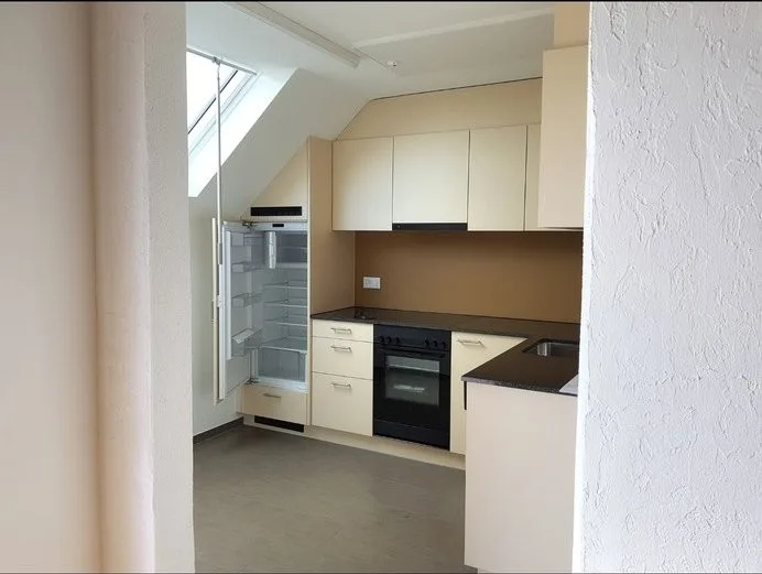 2.0 Zimmer- Dachwohnung im Hirzel