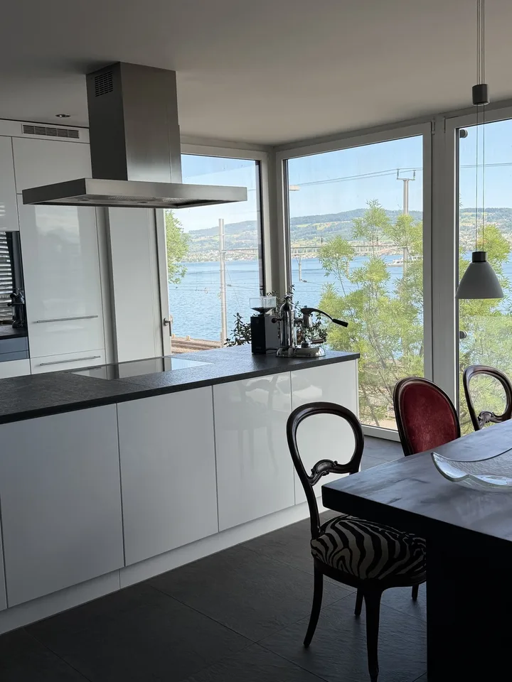 Furnished flat in Wädenswil