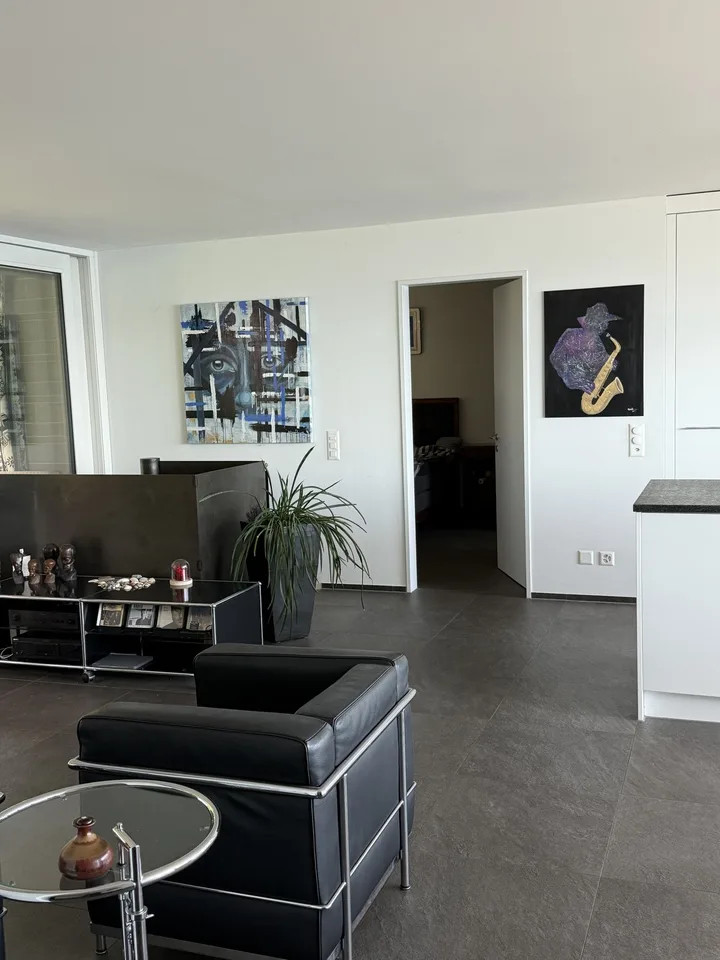 Furnished flat in Wädenswil