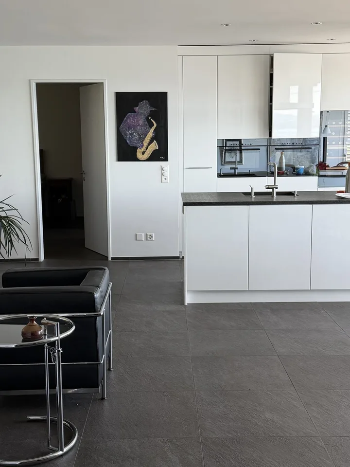 Furnished flat in Wädenswil