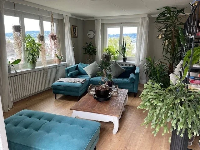 schöne 2.5 Zimmer Attikawohnung mit Seesicht