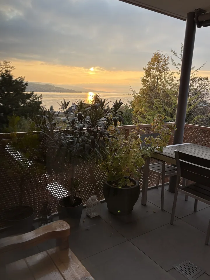 Wunderschöne möblierte 3.5 Zimmer Neubauwohnung mit Seesicht in Thalwil zur Zwischenmiete