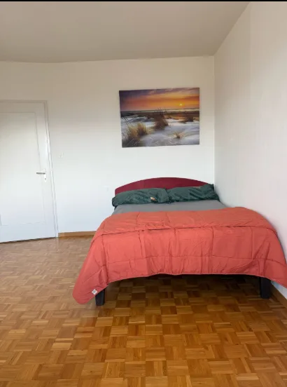 Cozy room in Zurich-Wiesendangen