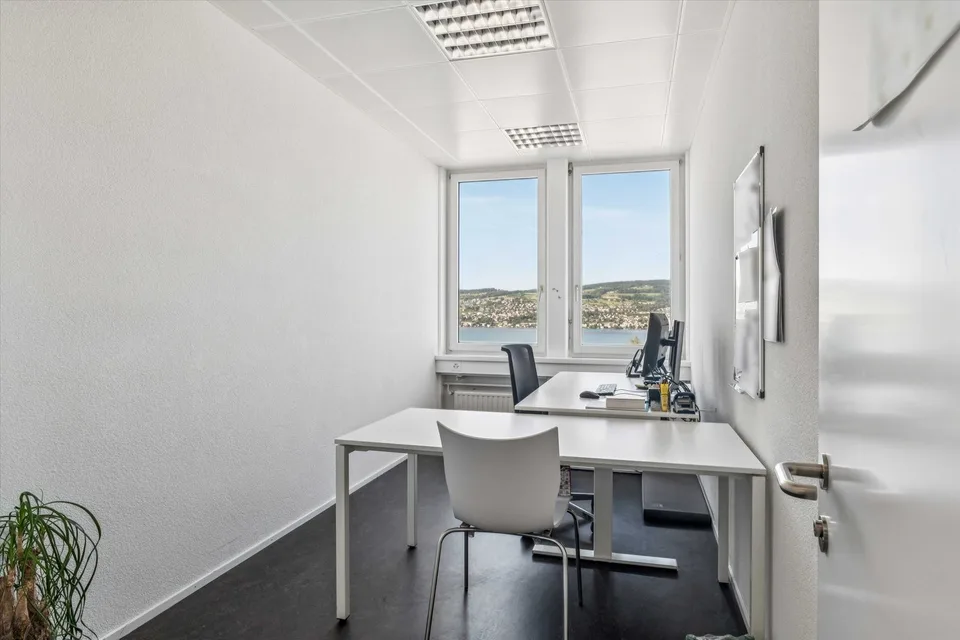 Arbeiten mit Seesicht: Attraktive Bürofläche im Herzen von Horgen