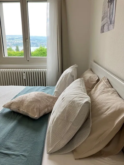 Room Thalwil