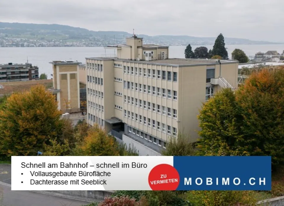 Horgen: Ausgebautes Büro Plug and Play