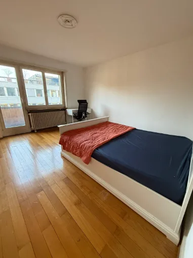 Cozy room in Zurich Richterswil