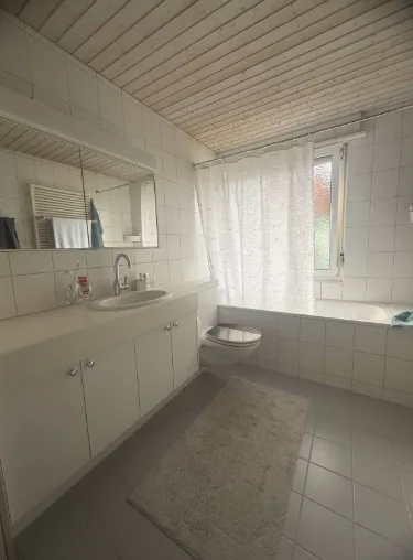 Cozy room in Zurich Richterswil