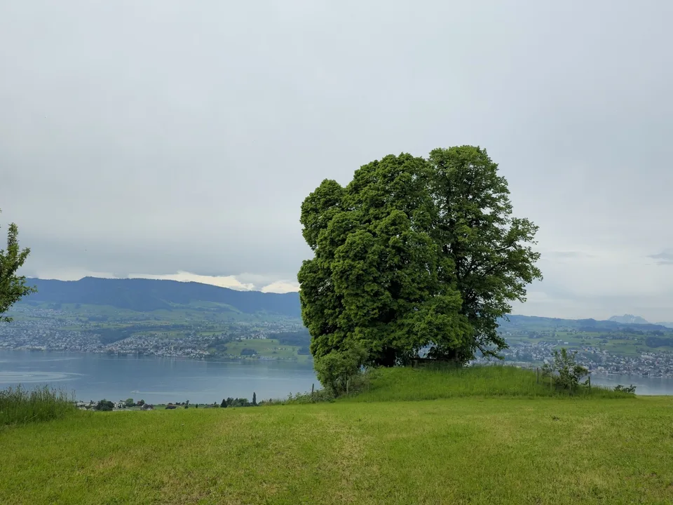 Renovierte Dachwohnung nähe Stäfa Rebberg Lattenberg