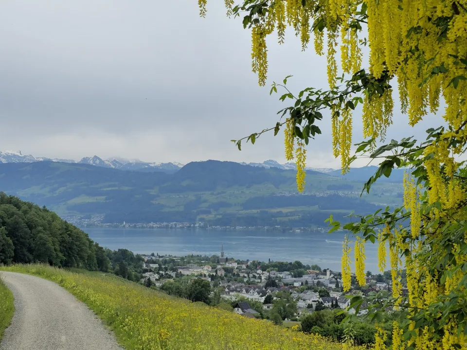 Renovierte Dachwohnung nähe Stäfa Rebberg Lattenberg