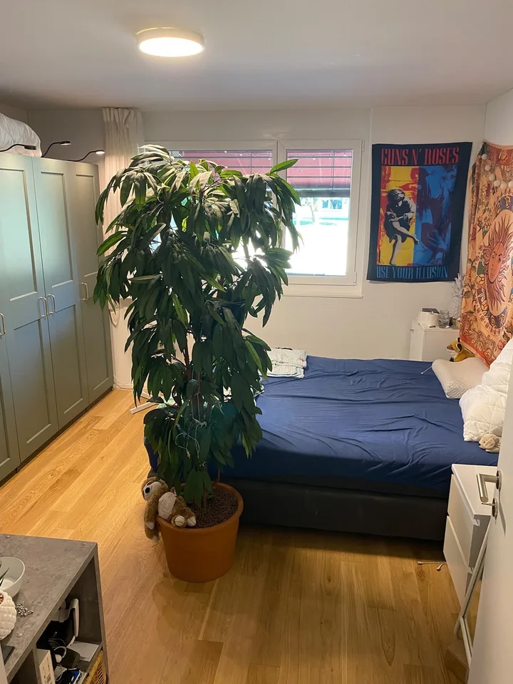 Gemütliche 2.5 Zimmer Wohnung