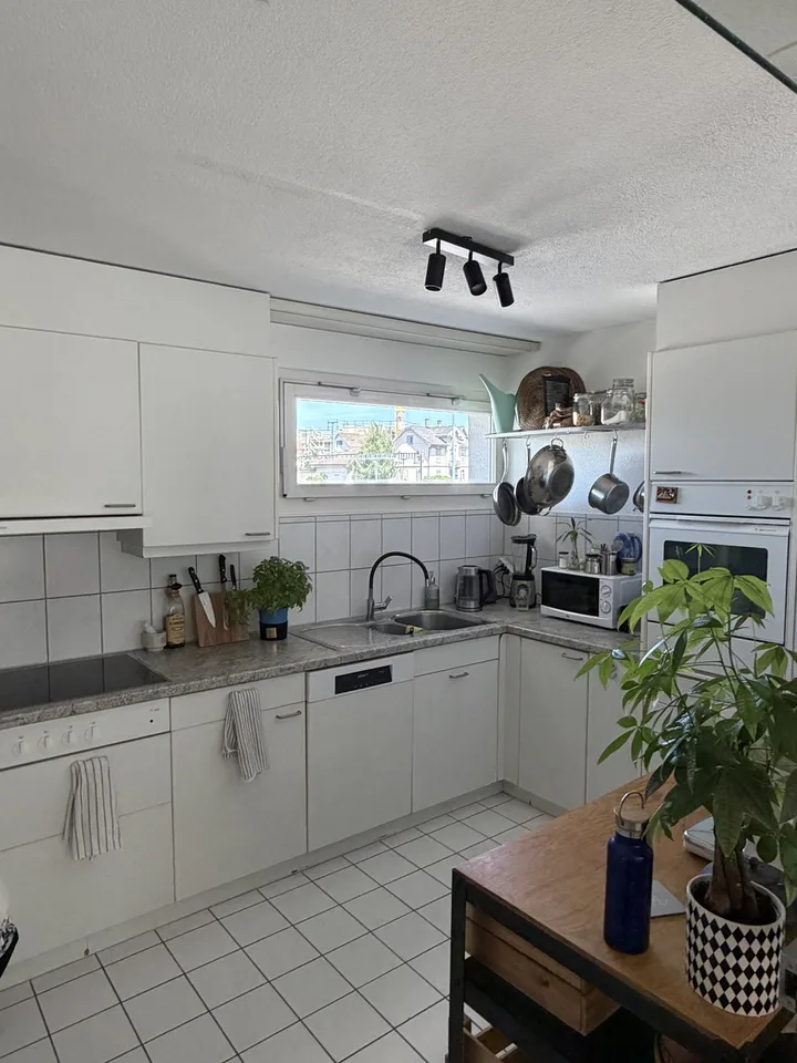 Bright Room for Commuters / Part-Time Rent in the Zurich/Zug Area