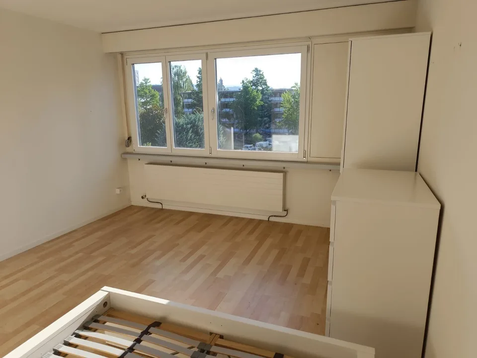 Large room in a spacious apartment