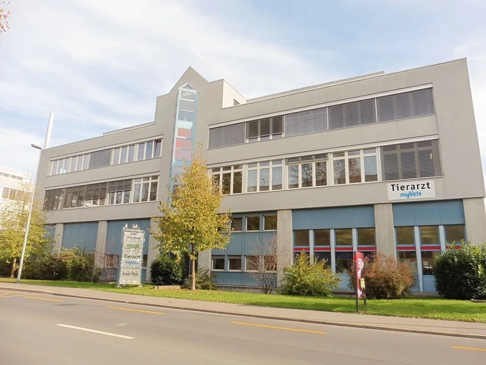Attraktive Räumlichkeiten in guter Lage - Befristet-
