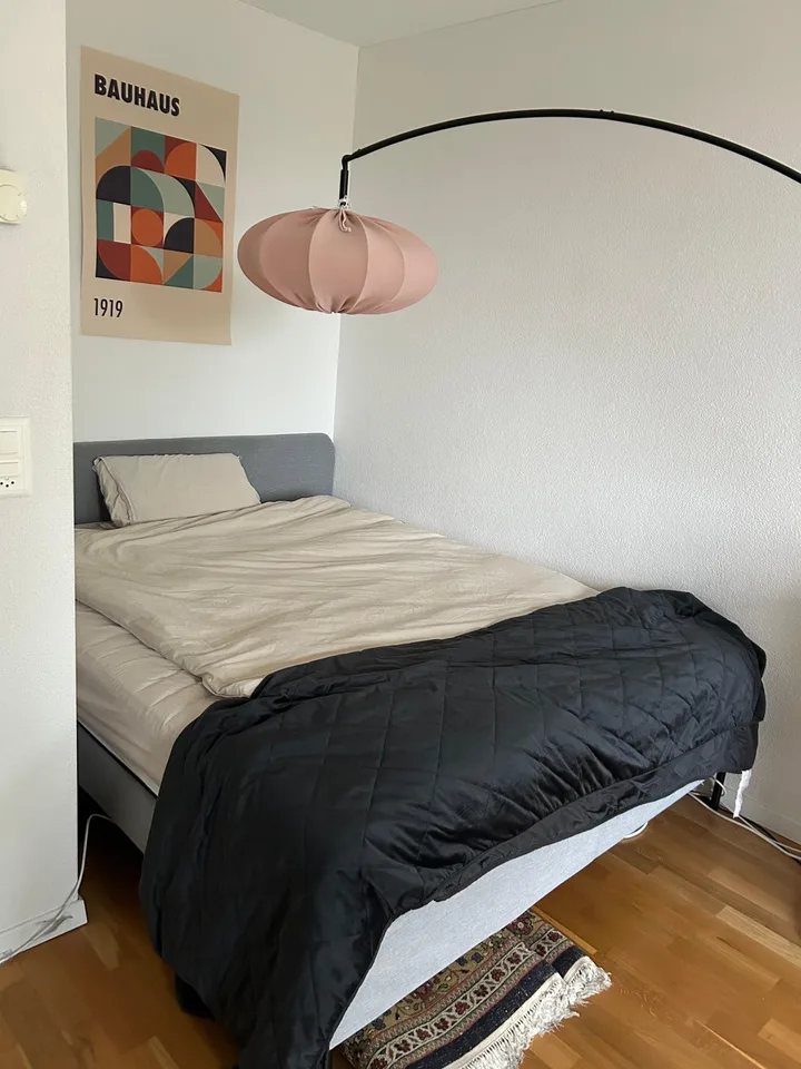 Room in Zug (very close to main train station!)