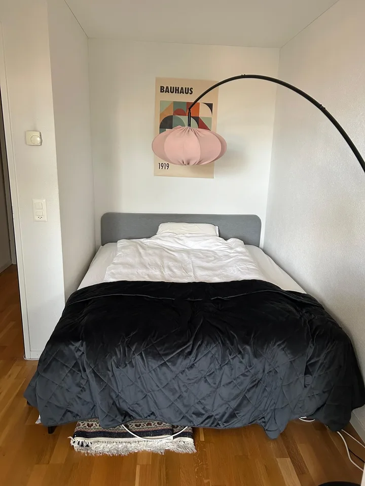 Room in Zug (very close to main train station!)