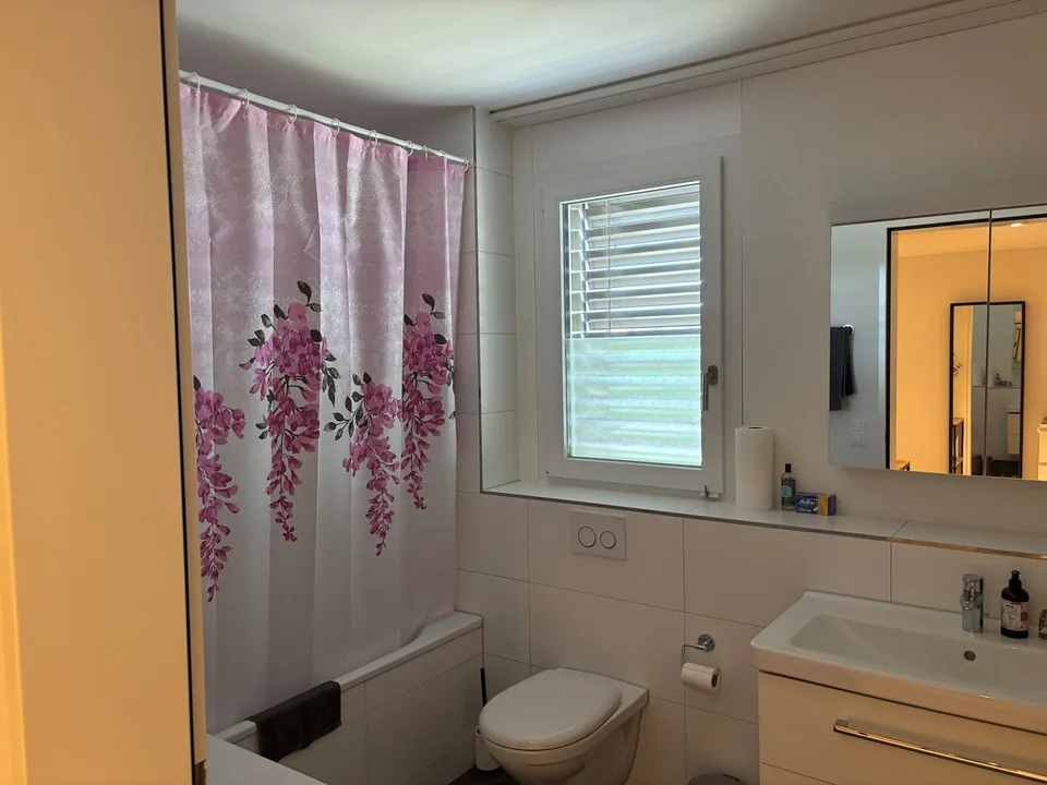 WG-Zimmer in einer gemütlichen und gepflegten Wohnung zu vermieten