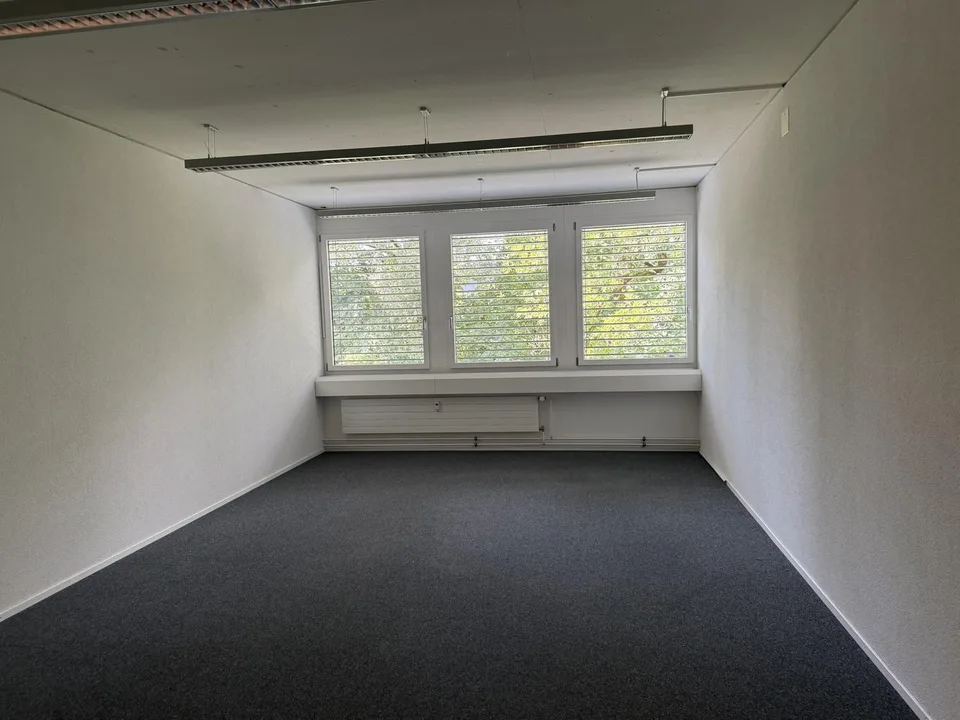 🏢 Modern Coworking Workspace | Chamerstrasse 176 Zug | Available Now – Foto 8 von 22