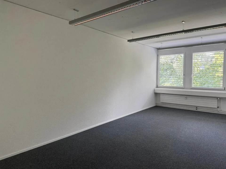 🏢 Modern Coworking Workspace | Chamerstrasse 176 Zug | Available Now – Foto 19 von 22