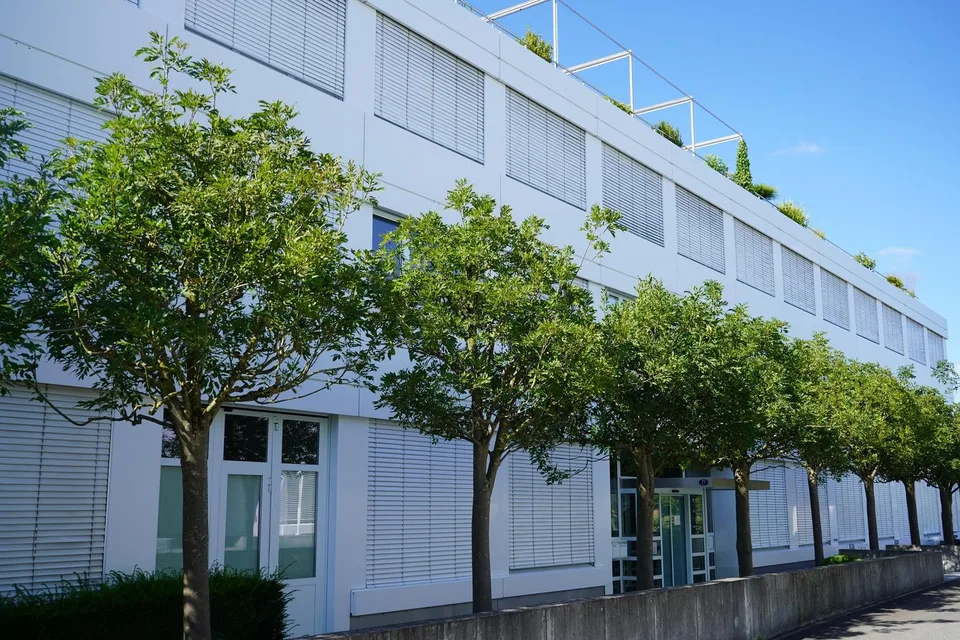 Helle und flexible Büroflächen im Bösch 71