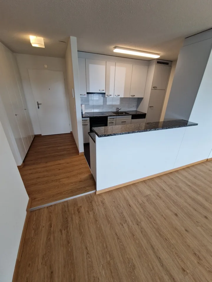 1 Room apartment close to Gersag Bahnhof