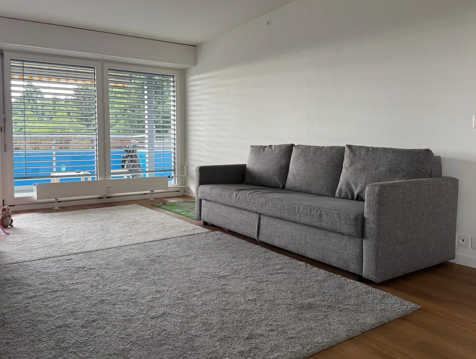 4.5-Zimmer-Wohnung mit Möbeln zu vermieten – Waldstrasse, Luzern