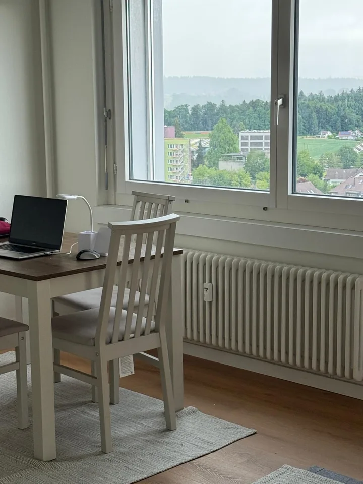 4.5-Zimmer-Wohnung mit Möbeln zu vermieten – Waldstrasse, Luzern