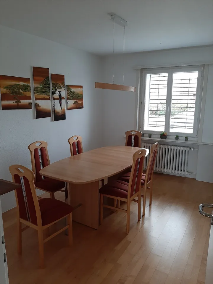 WG-Zimmer in Ebikon ab 01.10. – langfristige Mitbewohnerin / langfristiger Mitbewohner gesucht