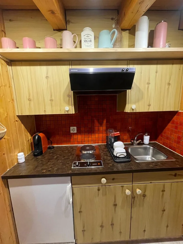 2-Zimmer-Loftwohnung als Ferienwohnung in Flims