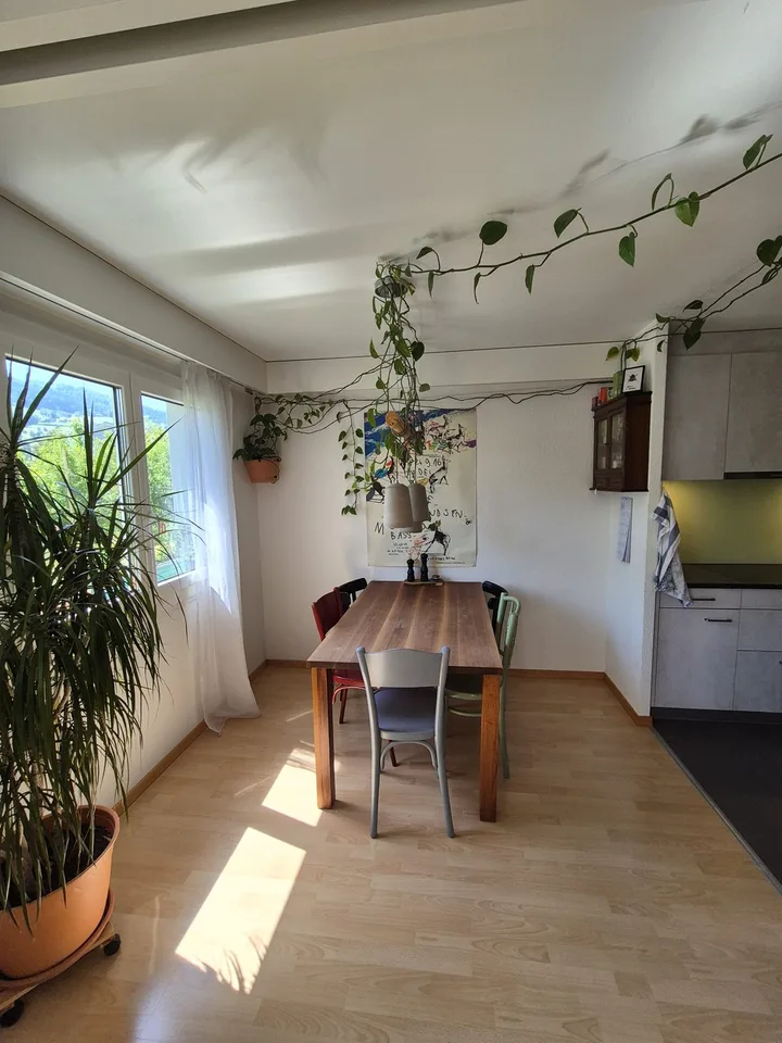 3.5-Zimmer-Wohnung mit Gartensitzplatz mit Aussicht auf Pilatus und Garage (befr.)