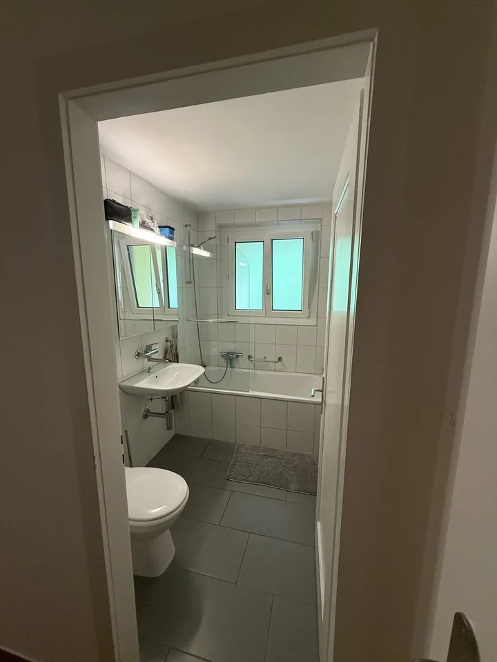 WG room in Lucerne available from August 2026 / WG-Zimmer in Luzern ab August 2026