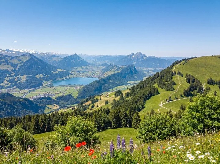 RIGI - KÖNIGIN DER BERGE: 7'000 m² GROSSES, EXKLUSIVES HOTELBAULAND – Foto 7 von 8